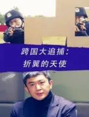 跨国大追捕：折翼的天使