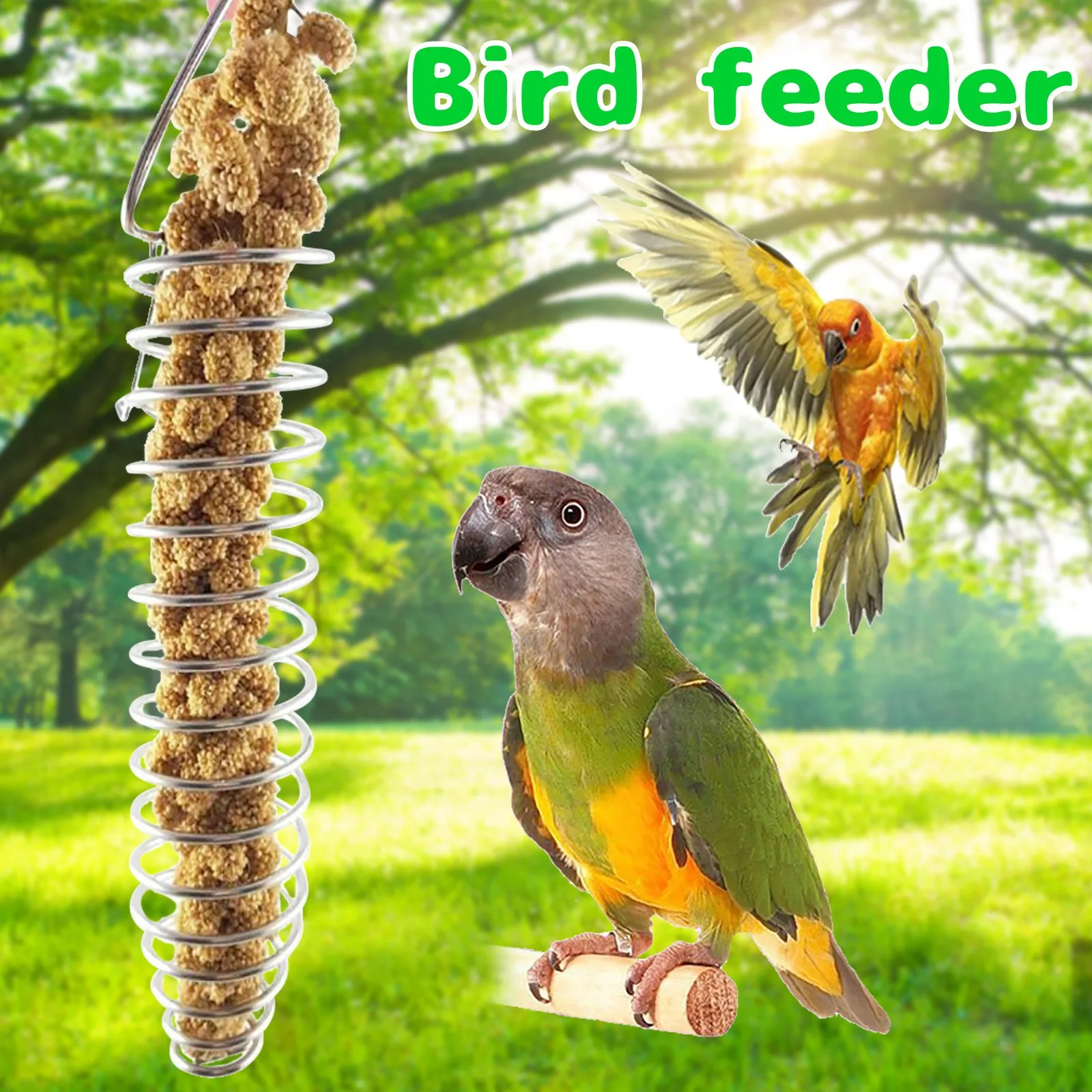 Soporte para vegetales y aves, utensilio de acero inoxidable para frutas y verduras, para loros, periquitos, cacatúa