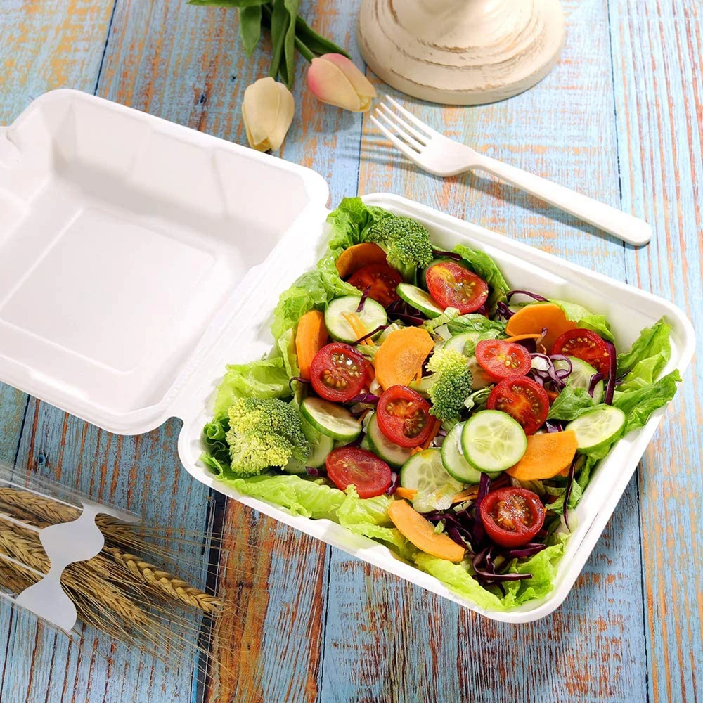 100% Compostable Food Container Box with Dividers Eco-Friendly