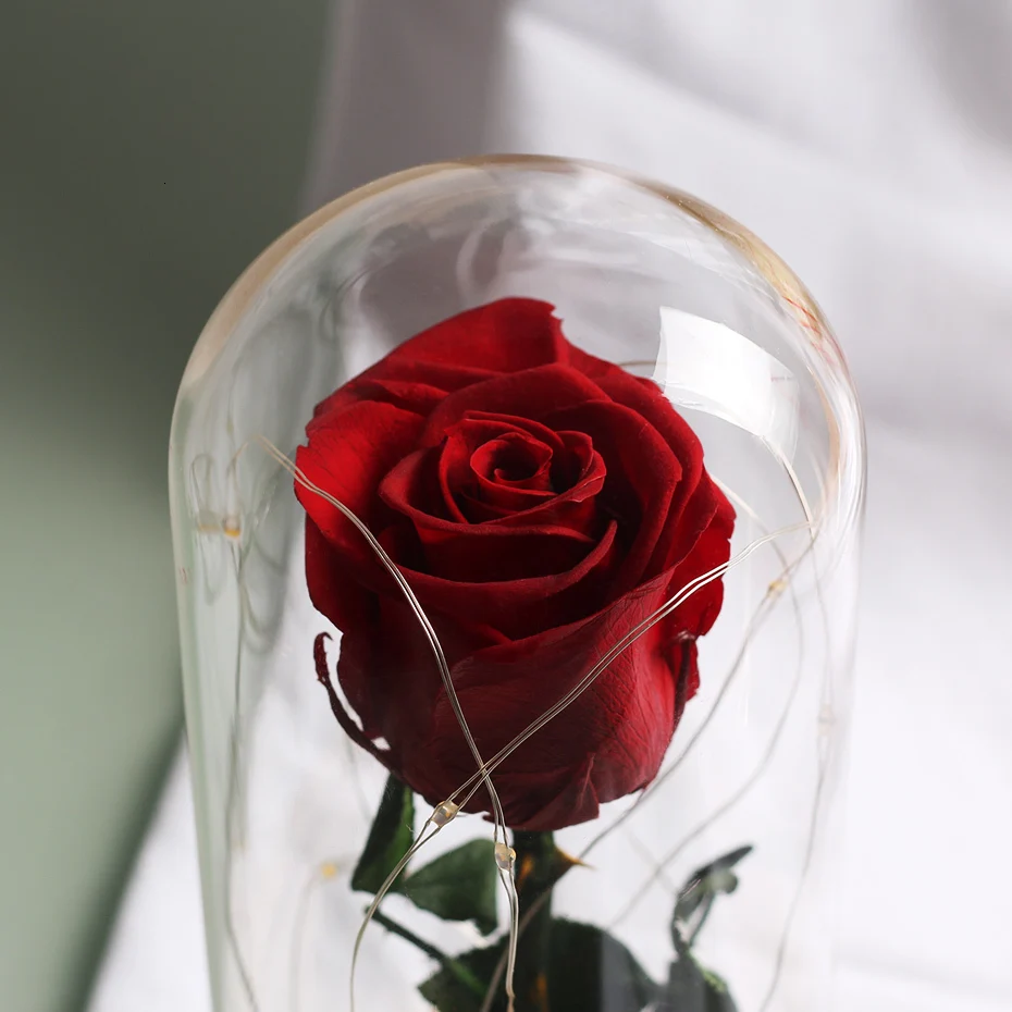 Подарок на день Святого Валентина Красавица и Чудовище светодиодный струнный свет красная роза в колбе стеклянный купол на деревянной базе рождественские подарки