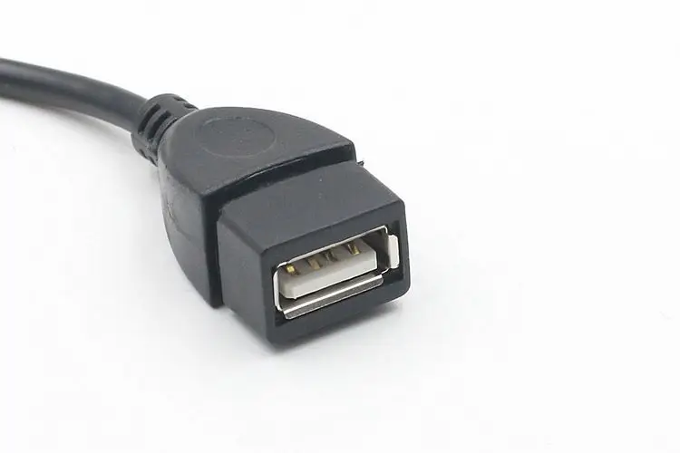 4438156325_1616905079 (1)