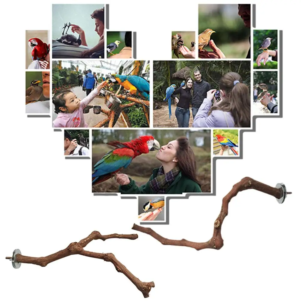 LanLan Pet Parrot Bird Standing Stick Wild Grape Wood Pole Claw Grinding Toy
