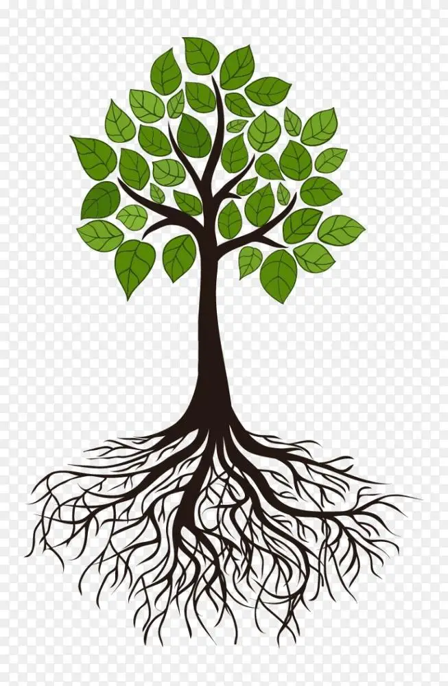 树根枝条剪贴画-根png图片素材免费下载_图片编号709383-png素材网