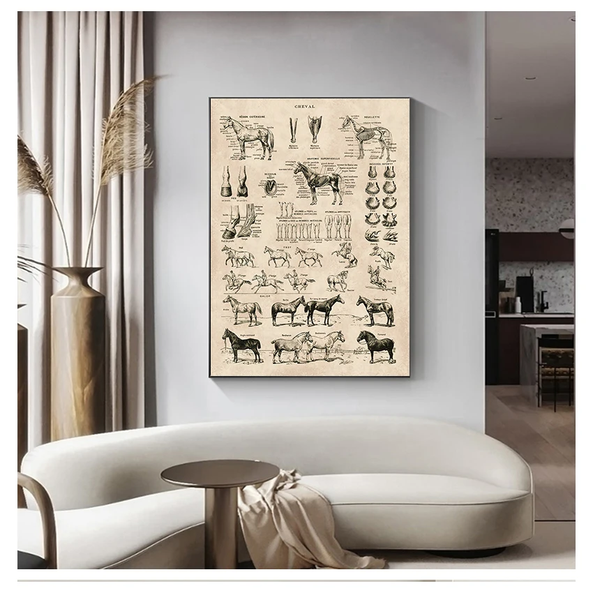 Animal Anatomy Poster Vintage Animal Anatomy Wall Posters Prints