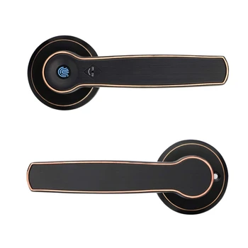 

Smart Keyless Door Lock with Biometric Fingerprint,Mechanical Handle Lock Suitable for Home, Hotel,Apartment,School & Interior D