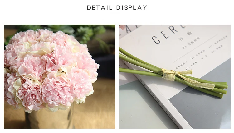 8592574597_1245478559