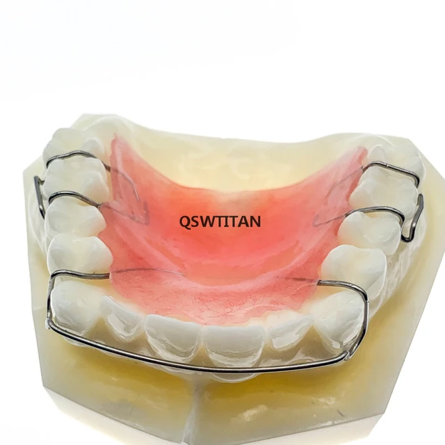 Dentiste Avec Loupe Sur Mâchoire Modèle Avec Dents. Examen Dentaire  Régulier Examen De La Bouche Des Gencives Image stock - Image du sain,  contrôle: 248317051