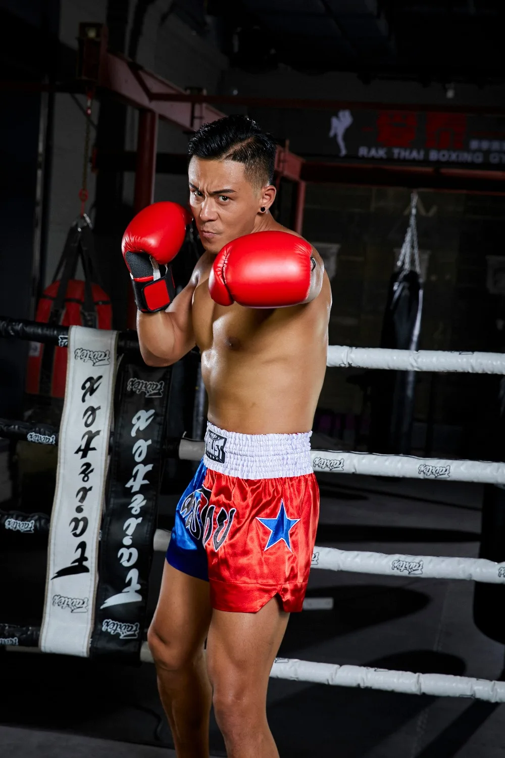 PUGILIST пять звезд серии Муай Тай брюки mma шорты для единоборств фитнеса боевых искусств тренировки бокса