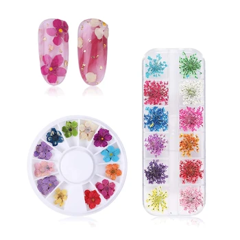 

3D Nail Art Accessories Dried Flowers, 24 Different Colorful Life Nail Flower Stickers for DIY Crafts Nails Decorations(Gypsophi