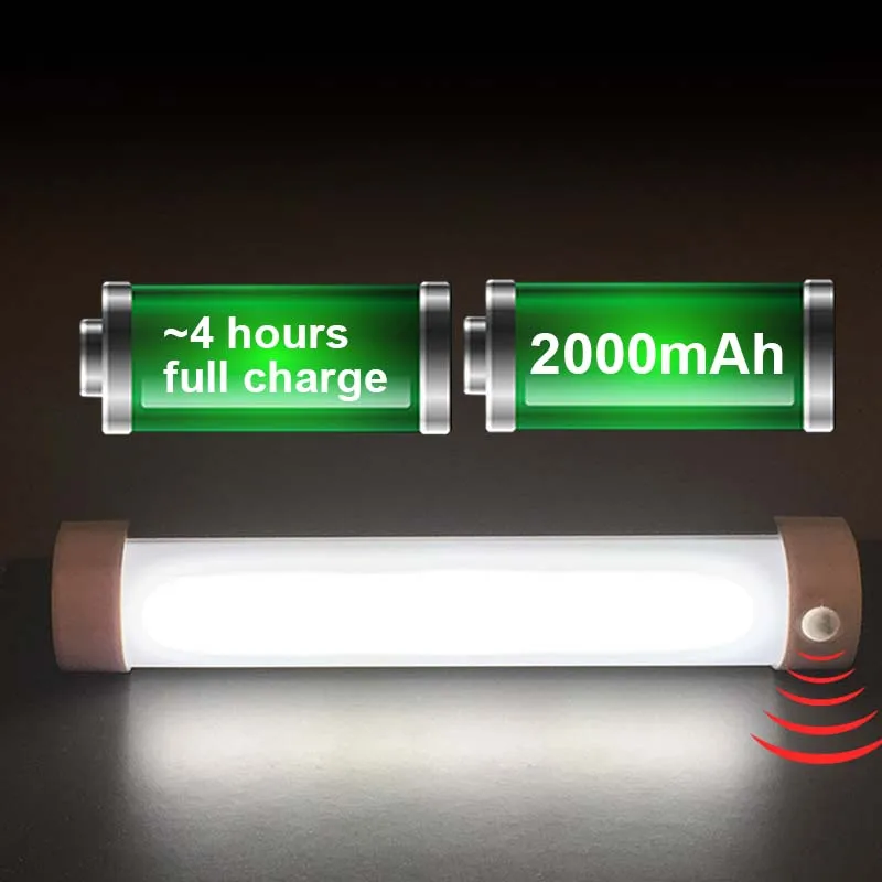 Карп Рыбалка Bivvy Light 2 Вт магнит дистанционного Управление Походные фонари 18650 Открытый USB Перезаряжаемые ночник светодиодный кемпинг Фонари