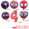 6pc Balloon random