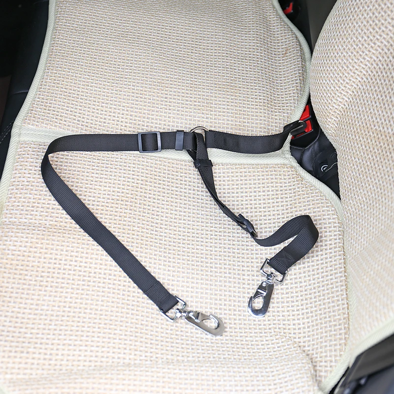 d9c2d186-c720-49f9-8449-c2994ff44737