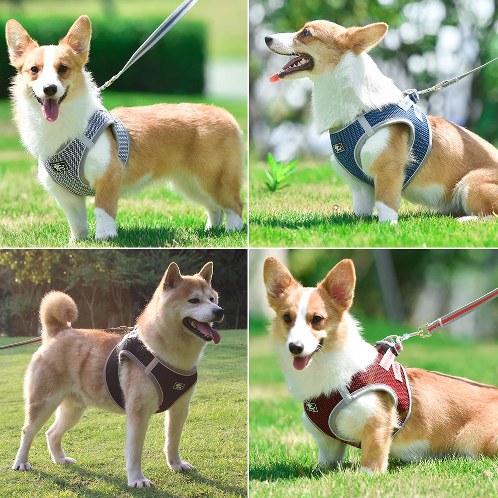 Dog & Cat Harness Dogs Leashs Vest Training Soft Mesh Chest Strap