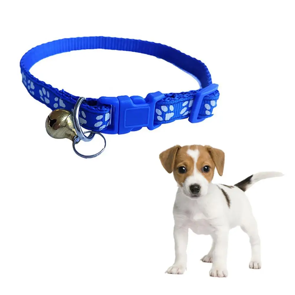 Funny Dog Collars