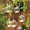 8PCS Transparent Hanging Glass Globe Shape Vase Flower Plant Container Micro Landscape Garden Decoration Pendant 1