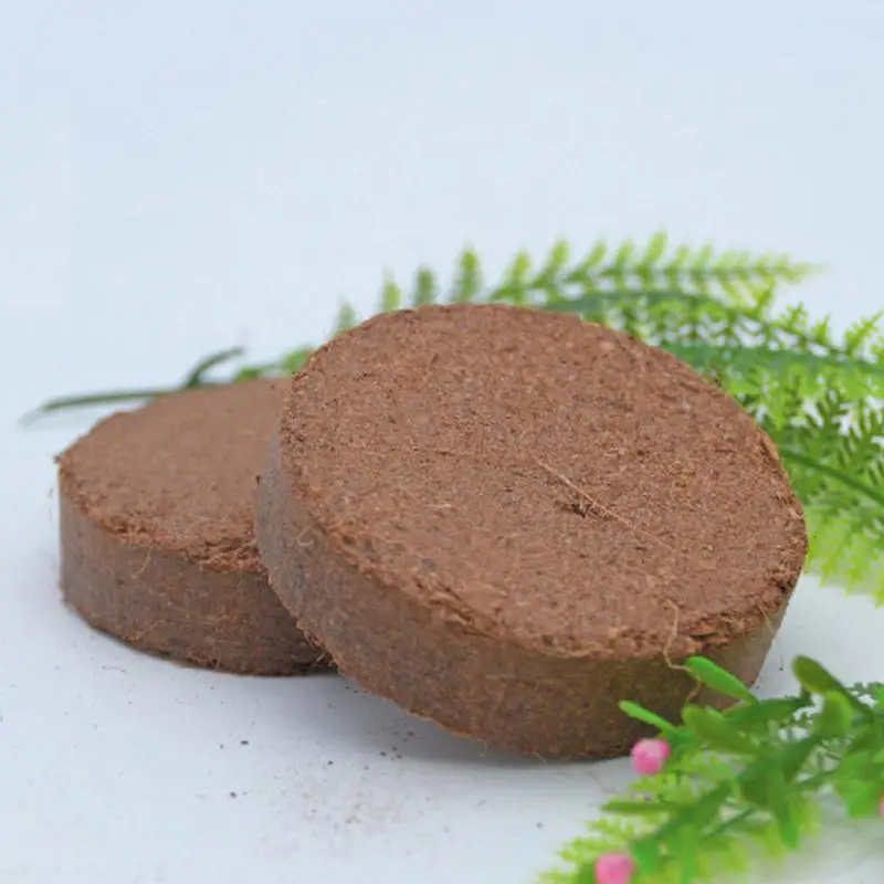 Natural Coconut Fiber Substrate Bricks Soil Essentials for Reptile Terrariums