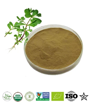 

Natural Bacopa Monniera Extract 20:1