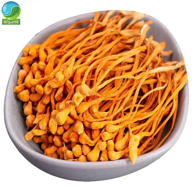 chong cao hua, cordyceps militaris, mushroom cordyceps