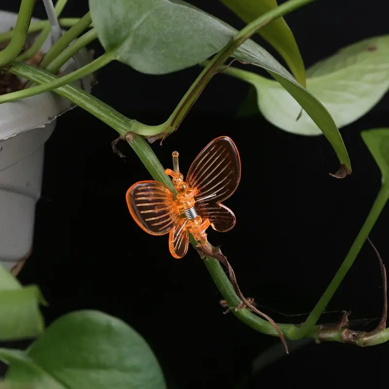 30 Pcs Butterfly Orchid Clips Plant Clips Garden Flower Vine Support Clips Cute M4YD