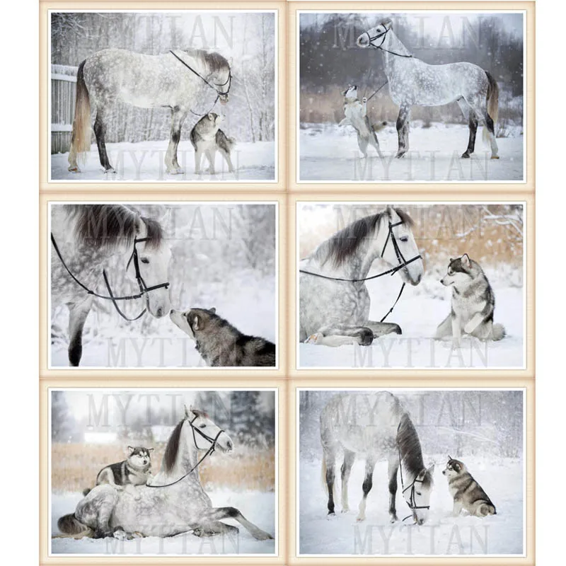 5D алмазная картина зимняя лошадь собака вышивка крестом животные мозаика полный