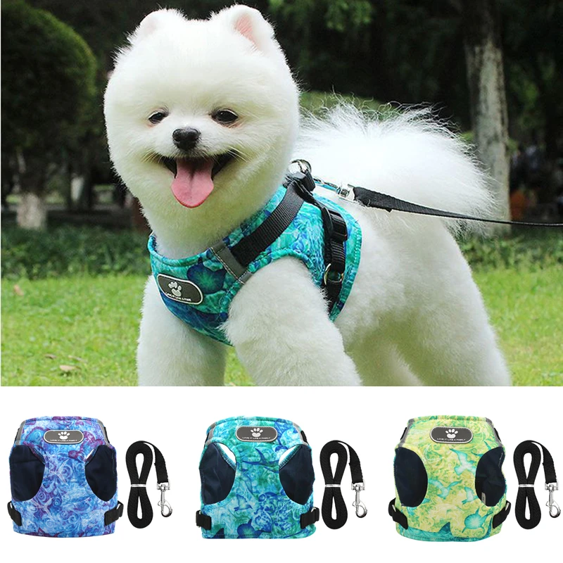 small dog harness and lead