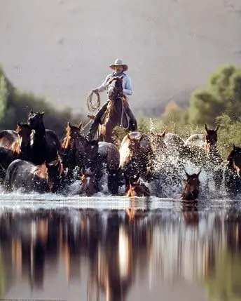 Cowboy Roundup Horses Old West Western Room Decor Picture Art Print Poster