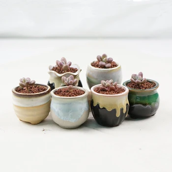 

6pcs Succulent Plant Pot Ceramic Thumb Pot Mini Cactus Flower Pot Cute Design Container Planter Bonsai Pots for Desktop Ornament