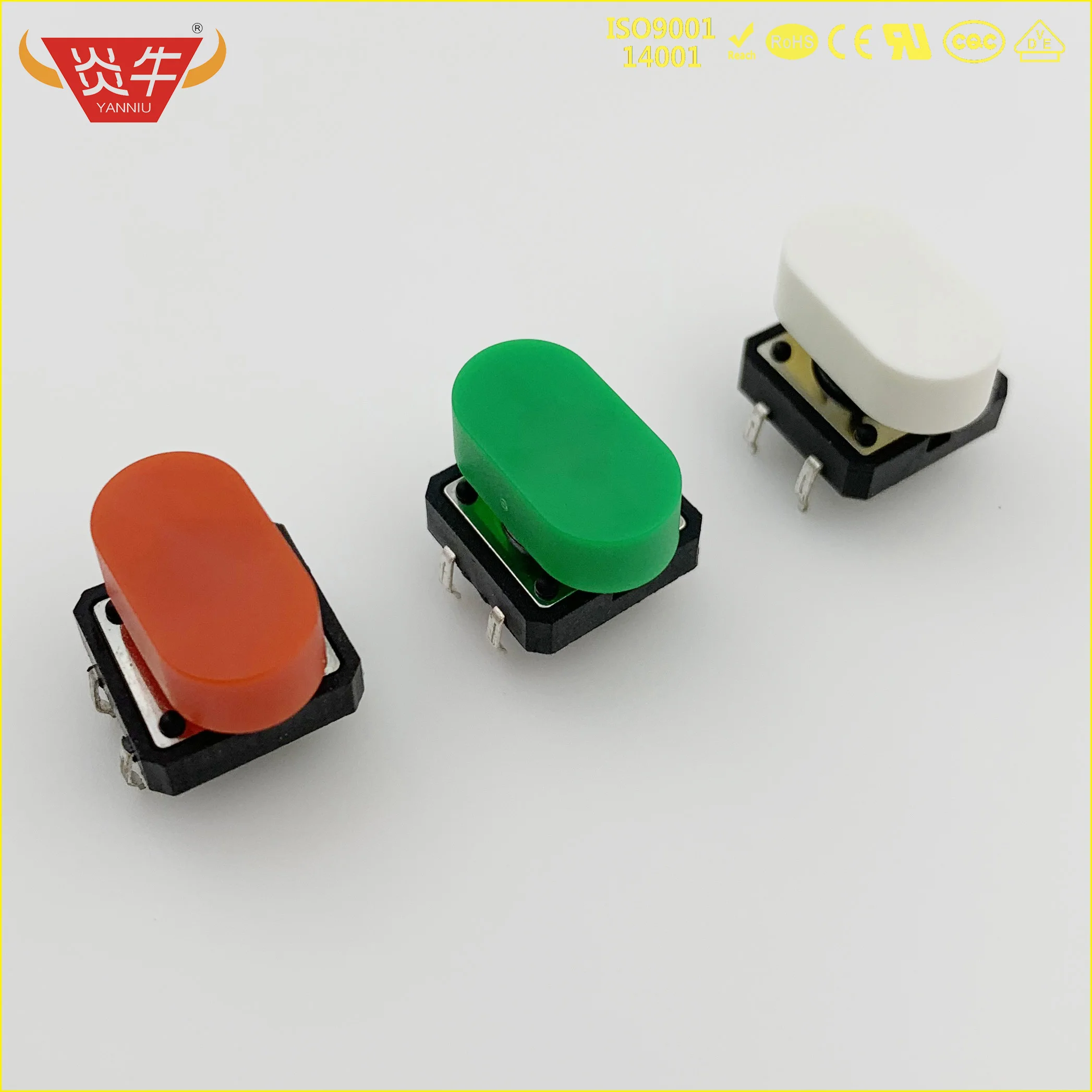 renovacao da casa 01