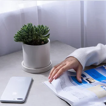 

1 Set Mini Ceramic Pots Small Fleshy Pots Flower Pots Garden Decorations Outdoor Decor with Plate for Home Garden (S Size, White