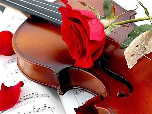 Huacan-5D-DIY-Diamond-Painting-Flower-Rose-Full-Drill-Square-Diamond-Embroidery-Cross-Stitch-Rhinestone-Picture.jpg_.webp_640x640 (11)