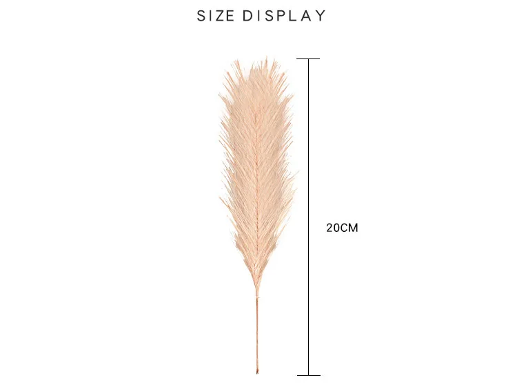 10896221287_1245478559