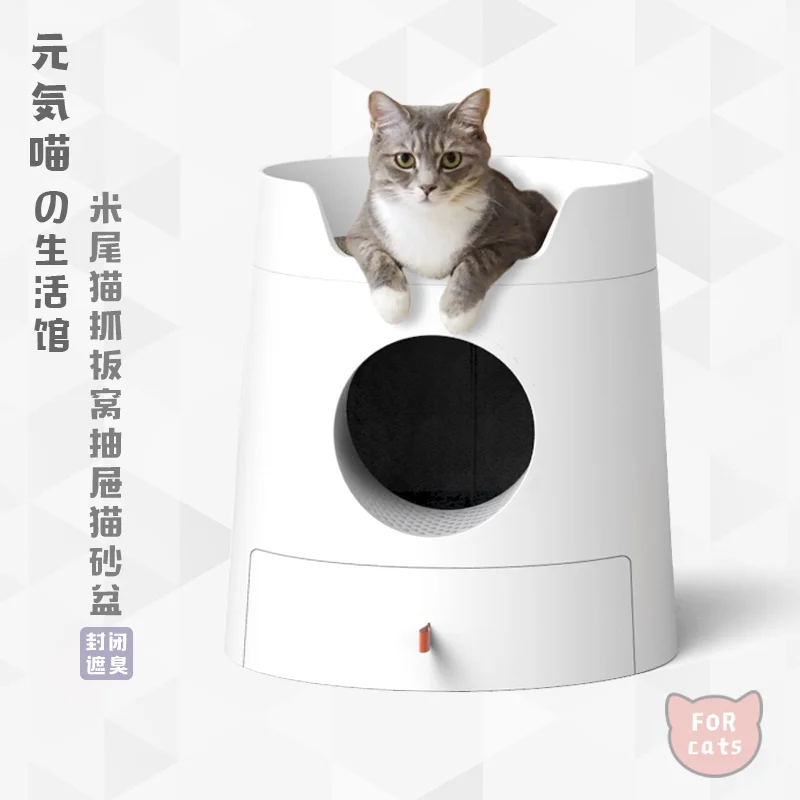 white cat litter box