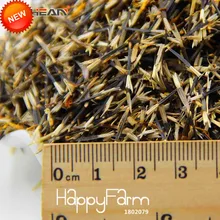 Hot Sale!11 Kinds Maidenhair Herb Garden Pot Marigold Flower bonsai Potted Chrysanthemum plant 50 Pcs/Pack,#VTBX5M