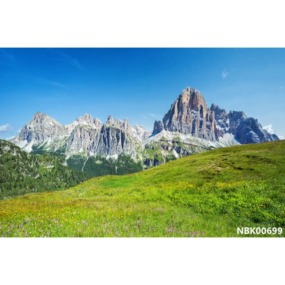 thumbnail image 1 of Fondos de fotografía de paisajes naturales con cielo azul, nubes blancas, montañas, árboles y ríos para bebés, 1 of 5