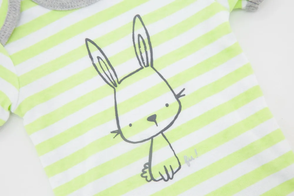 green rabbit 5