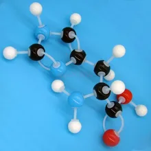 

The histidine molecular ball and stick model enlarges the teaching demonstration of the business meeting exhibition