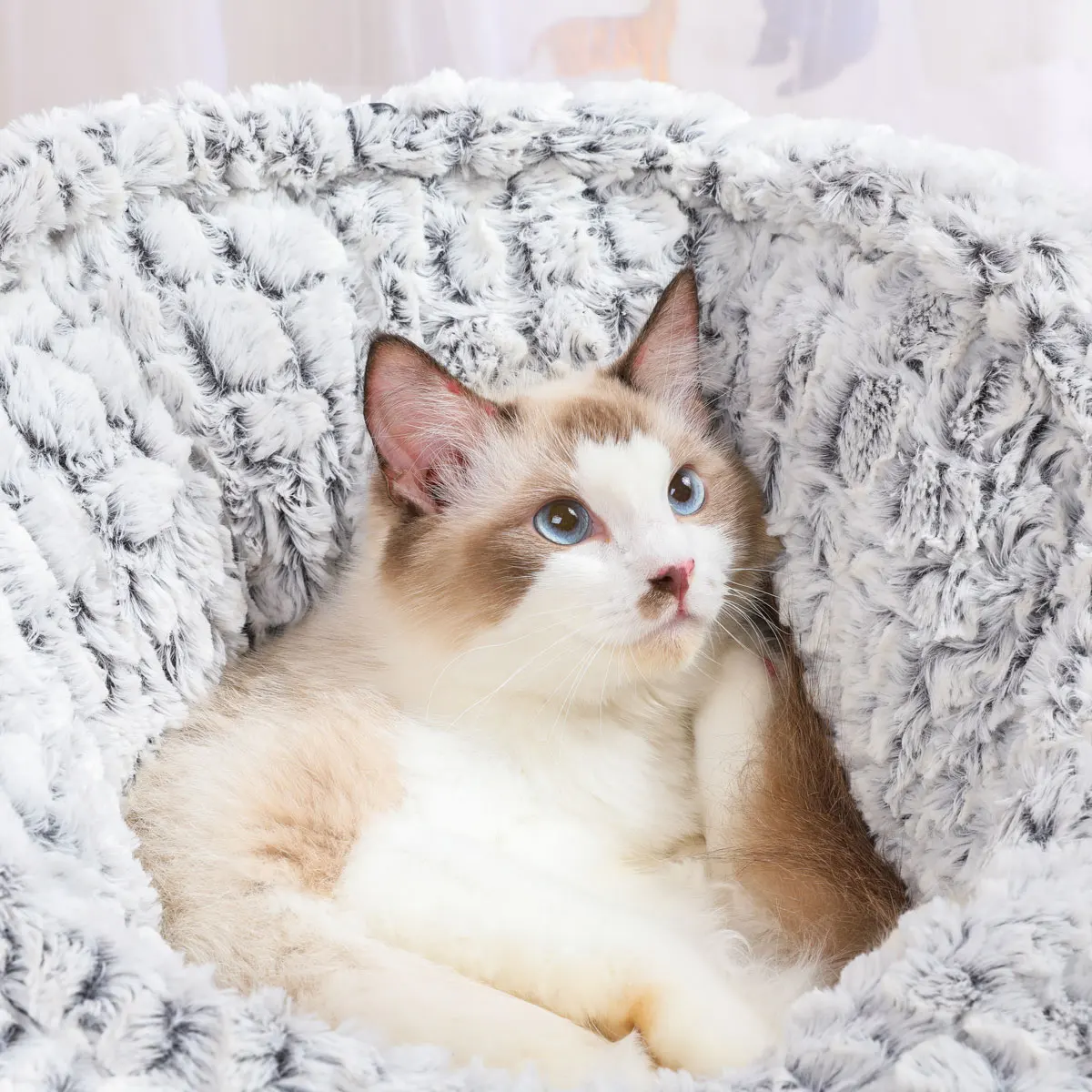 Собачий Кот, питомник, кровать, коврик для кошек, питомник, питомник, щенок, диван, матрас, пушистый, толстый, для отдыха, для сна, зимний, теплый, W, спальный коврик, одеяло