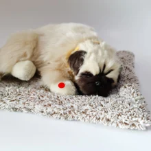 Моделирование волос животных плюшевые игрушки спящий храп реалистичные куклы собаки моделирование креативное украшение дома версия батареи