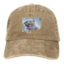 3D юморные кошки животные для взрослых нейтральная бейсбольная окрашенная моющийся Ковбой шляпа солнцезащитный крем Ковбой шляпа отца