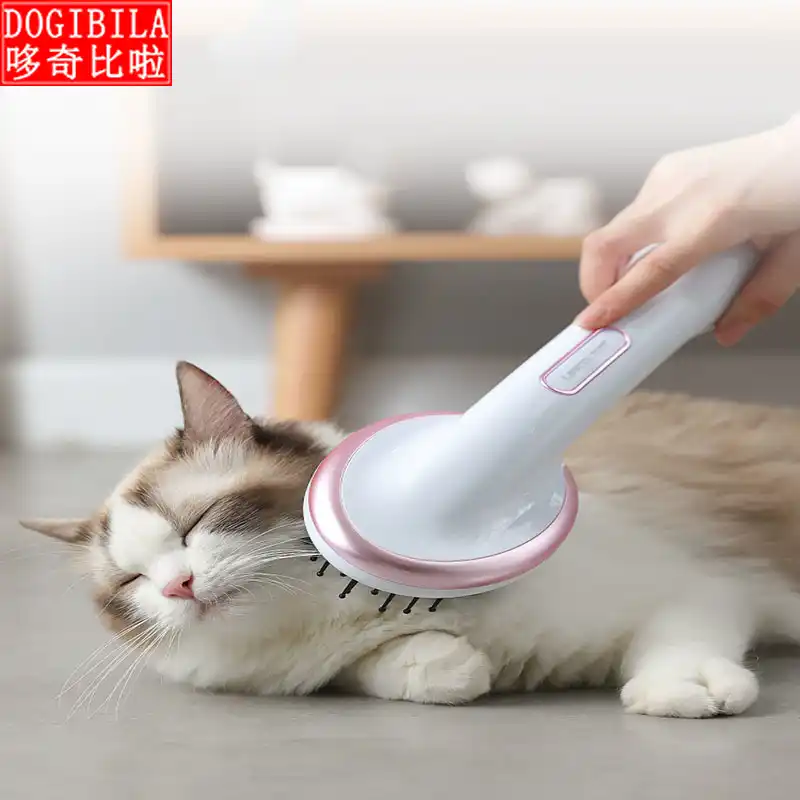 cat hair dryer