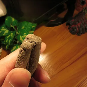 

New Pet Toy Reptiles Amphibian Supplies Realistic Jungle Branches Vine Home And Garden Decorations Reptiles Pet Products