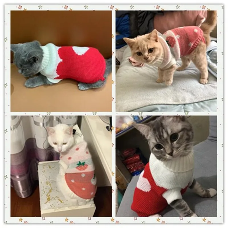 Cat sweater