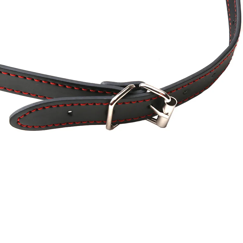 10528718493_1497446409