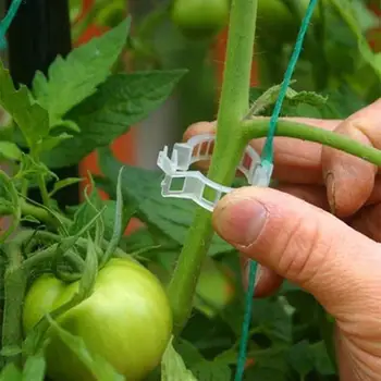 

50PCS Plastic Plant Support Clips 50/100Pcs Vine Tomato Stem Vegetable Fixing Clip Garden Greenhouse Accessories Plant Clips