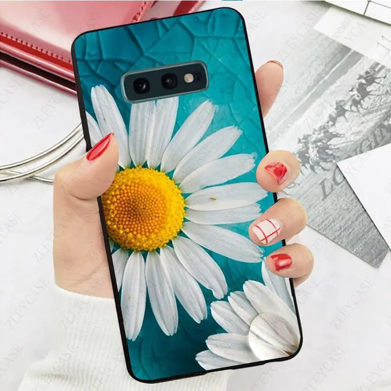 daisy flower