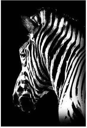 Черно-белая мозаика 5D алмазная вышивка слонов Жираф Зебра Леопард носорог полный квадратный/круглый дрель diy глянцевые краски - Цвет: 8