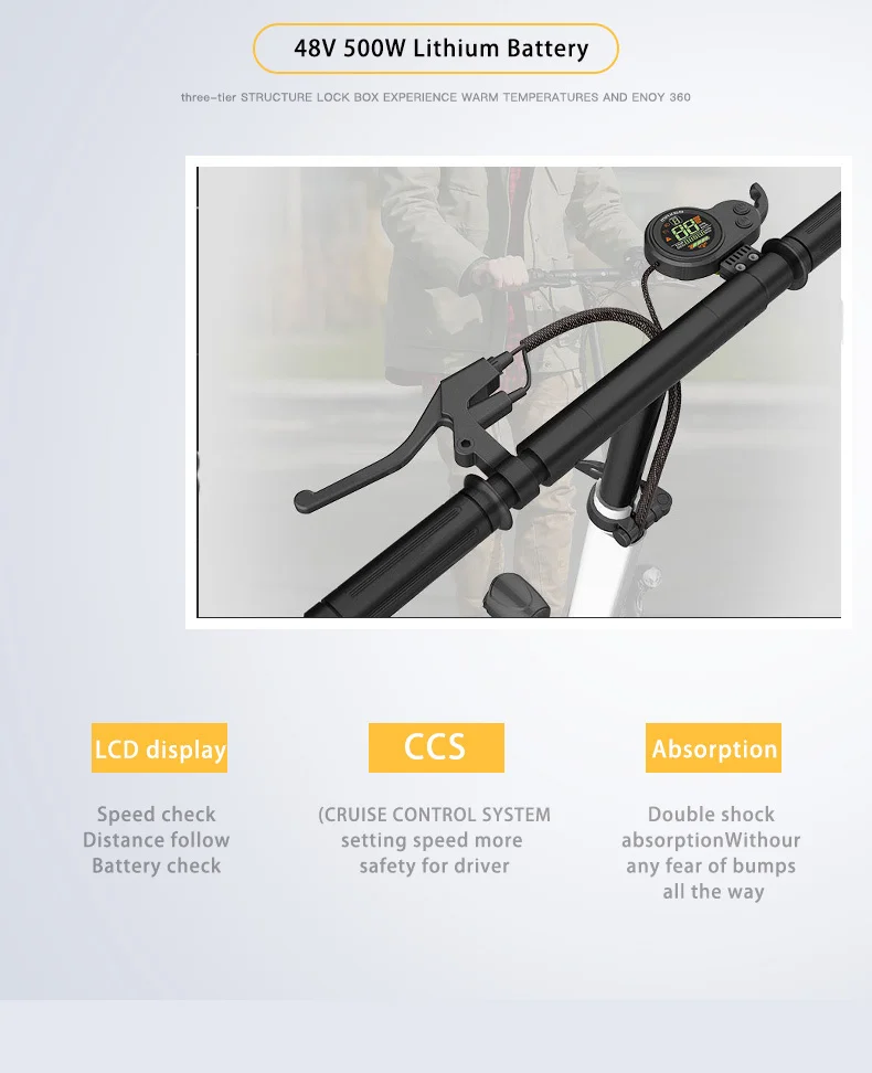 electric scooter (4)