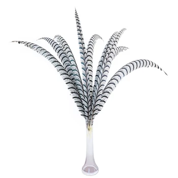 

Wholesale 10pcs Natural Zebra Lady Amherst Pheasant Tail feathers for Crafts Carnival Home Decorative feather Accessories