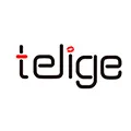 Telige Store