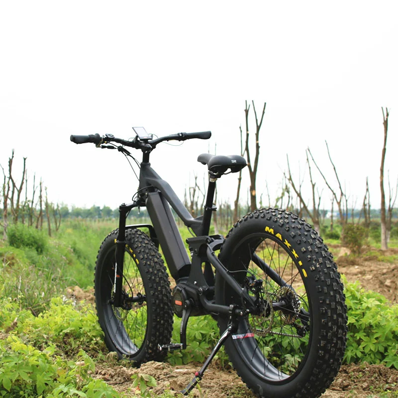Middle Motor Fat Snow Electric Bike 